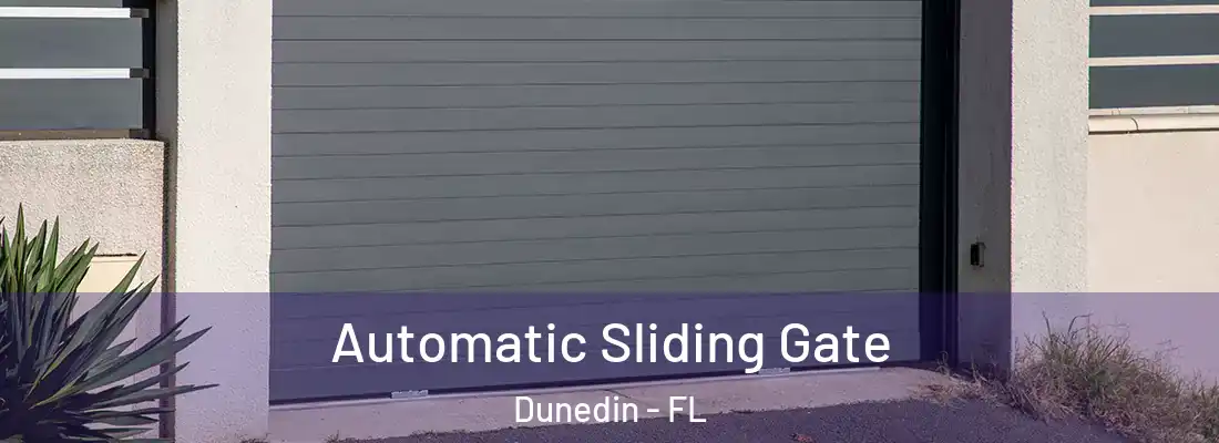  Automatic Sliding Gate Dunedin - FL