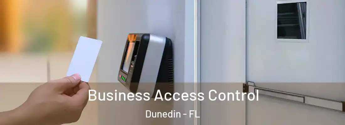 Business Access Control Dunedin - FL