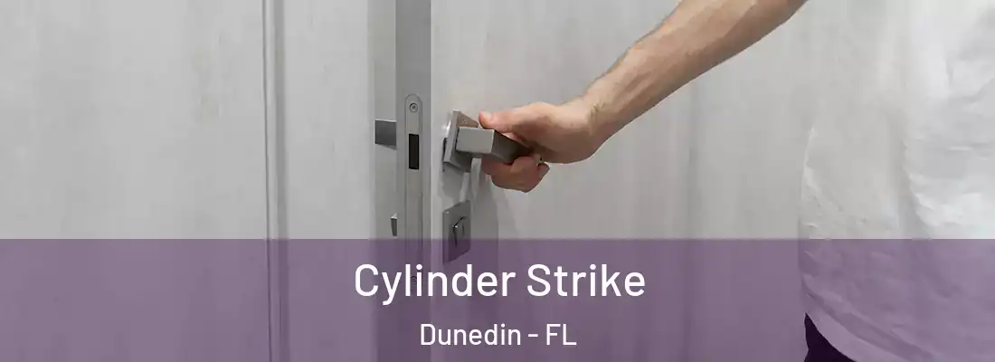  Cylinder Strike Dunedin - FL