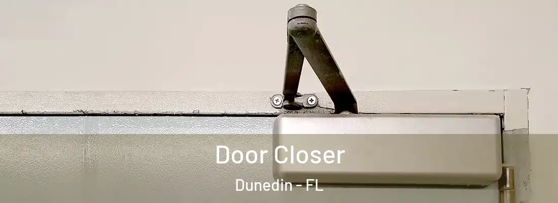 Door Closer Dunedin - FL