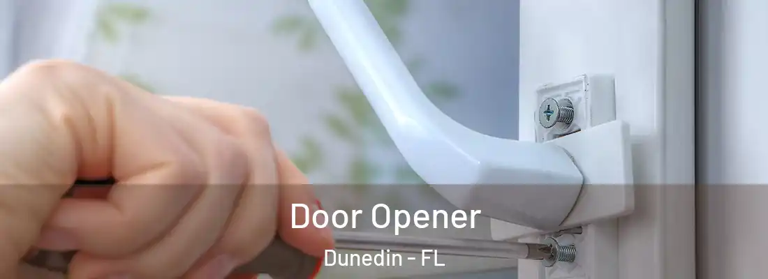 Door Opener Dunedin - FL