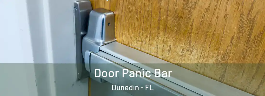  Door Panic Bar Dunedin - FL