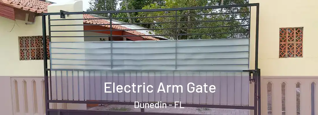  Electric Arm Gate Dunedin - FL
