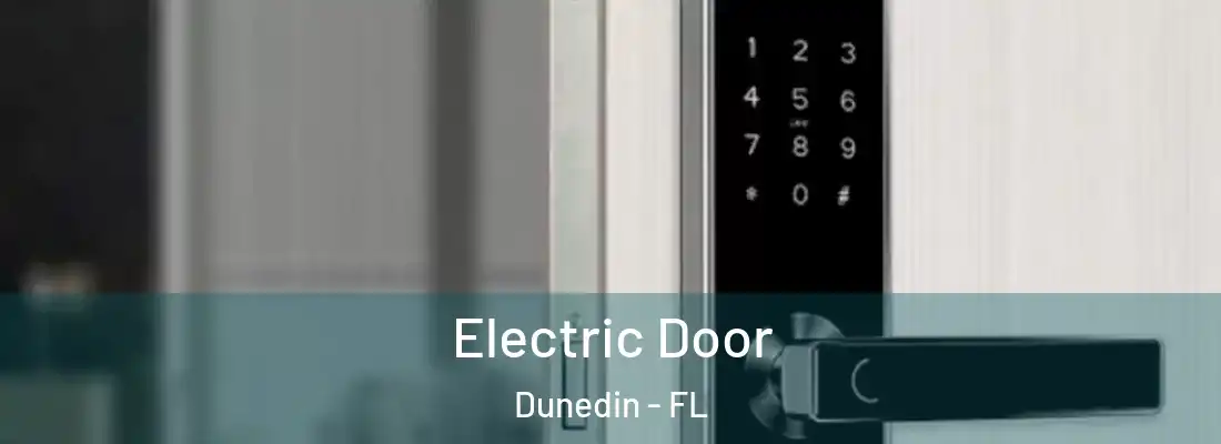  Electric Door Dunedin - FL