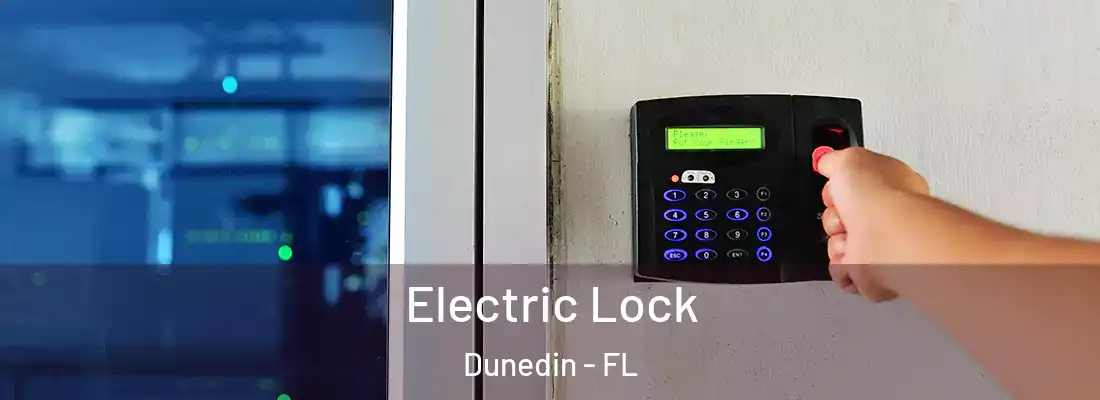  Electric Lock Dunedin - FL