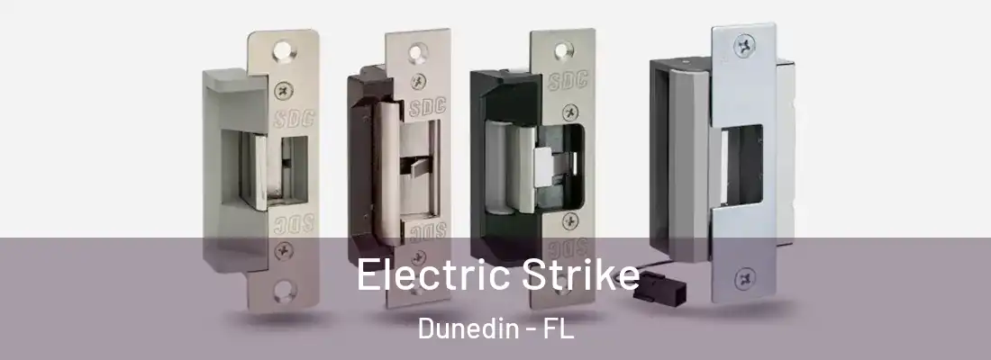  Electric Strike Dunedin - FL