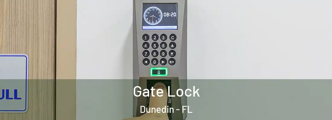 Gate Lock Dunedin - FL