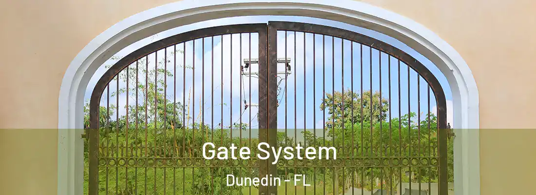  Gate System Dunedin - FL