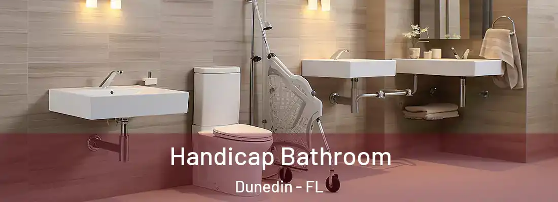  Handicap Bathroom Dunedin - FL