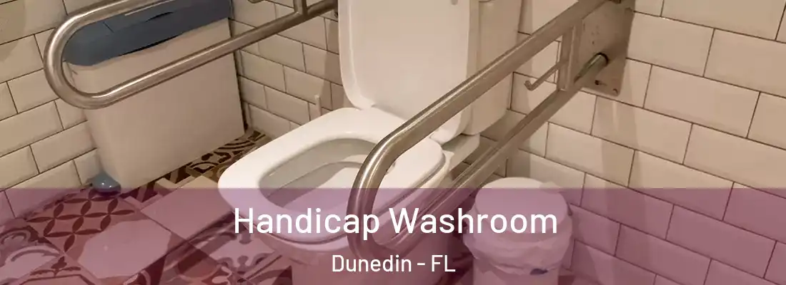  Handicap Washroom Dunedin - FL