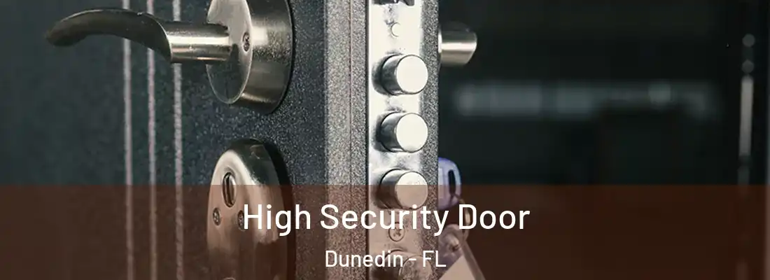 High Security Door Dunedin - FL