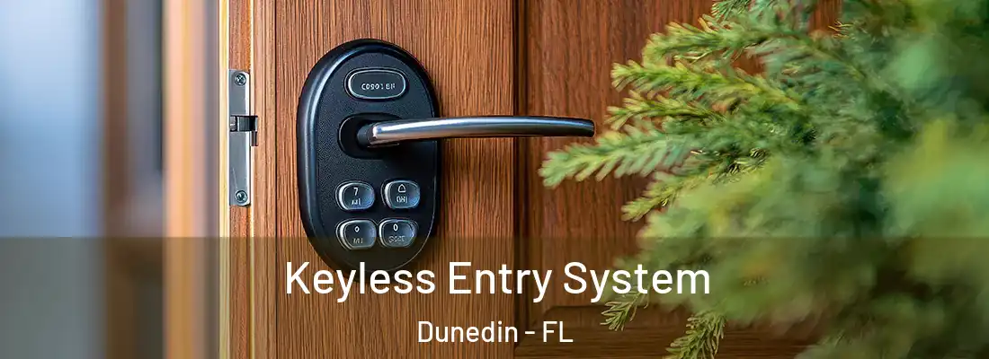 Keyless Entry System Dunedin - FL