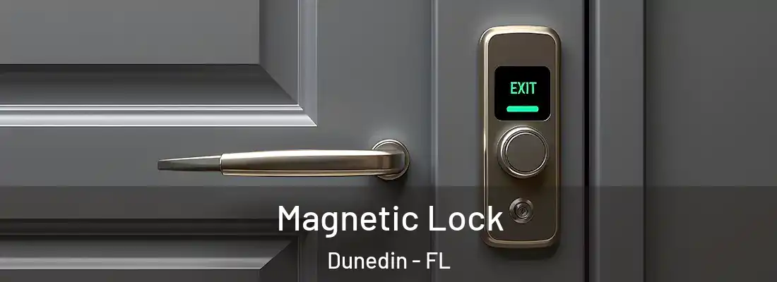 Magnetic Lock Dunedin - FL