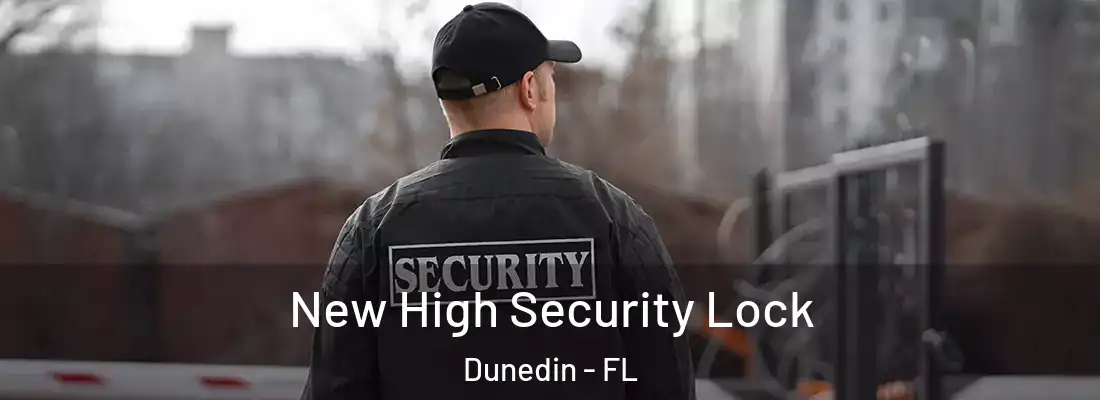 New High Security Lock Dunedin - FL