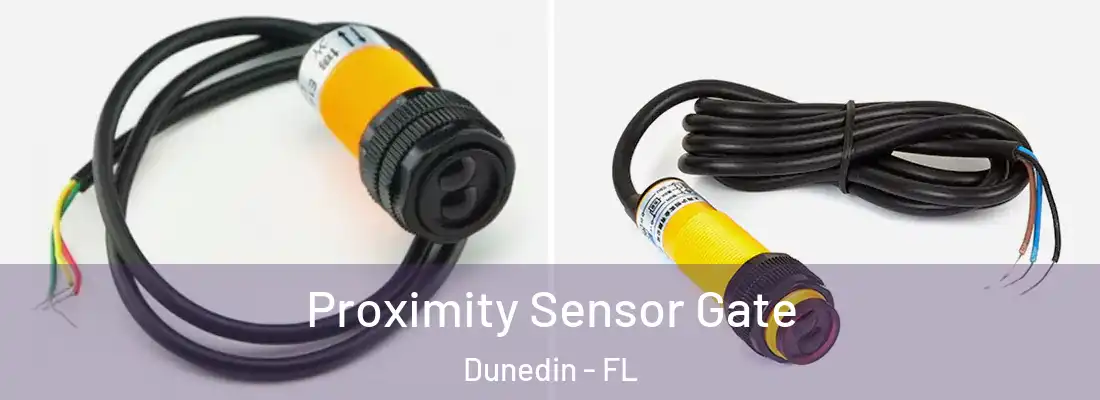 Proximity Sensor Gate Dunedin - FL