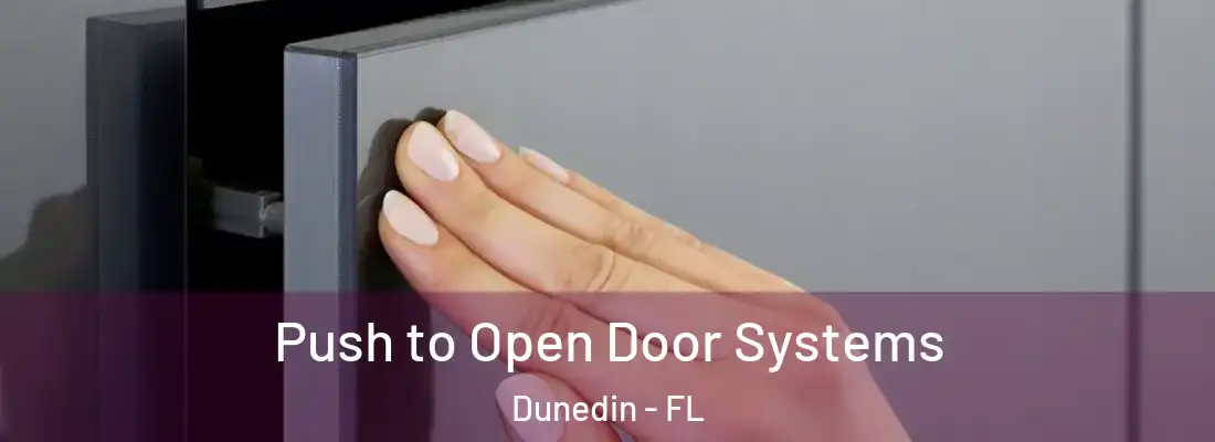  Push to Open Door Systems Dunedin - FL