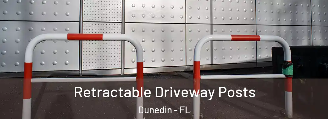  Retractable Driveway Posts Dunedin - FL