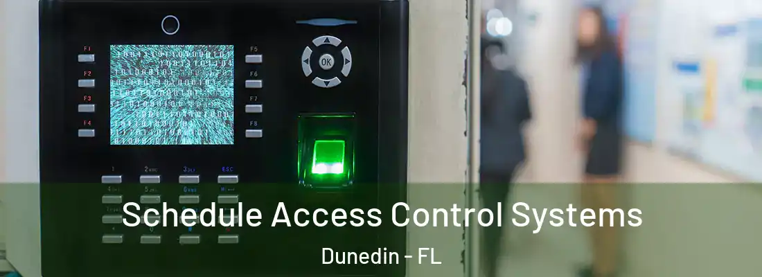 Schedule Access Control Systems Dunedin - FL