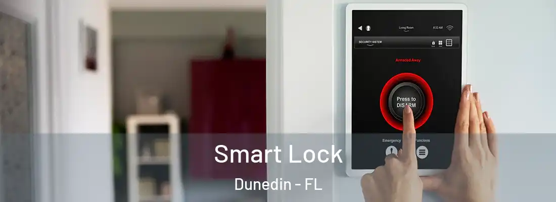 Smart Lock Dunedin - FL